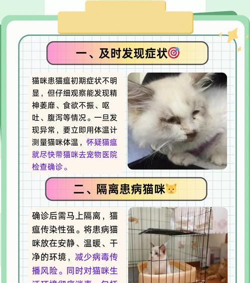 猫咪患猫瘟如何治疗？治疗猫瘟的有效方法是什么？
