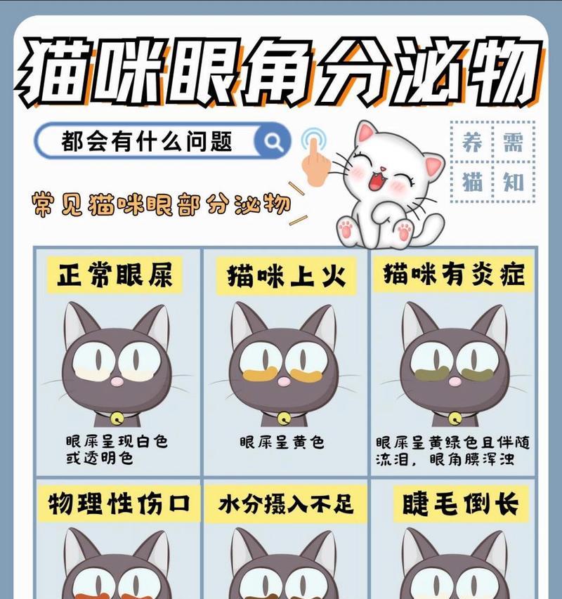 猫眼流泪和眼屎多是什么原因？