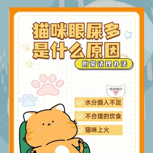 猫眼流泪和眼屎多是什么原因？