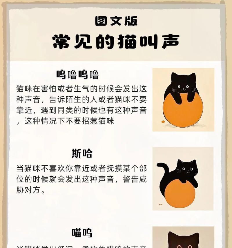 哪些声音能吸引猫咪？如何利用声音与猫咪互动？