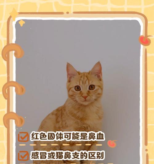 猫咪打喷嚏一定是感冒吗？还有哪些原因可能导致？
