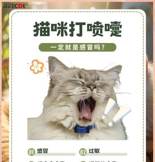 猫咪打喷嚏一定是感冒吗？还有哪些原因可能导致？