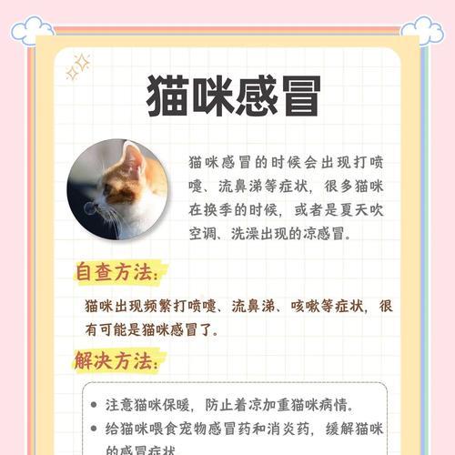 猫咪打喷嚏一定是感冒吗？还有哪些原因可能导致？