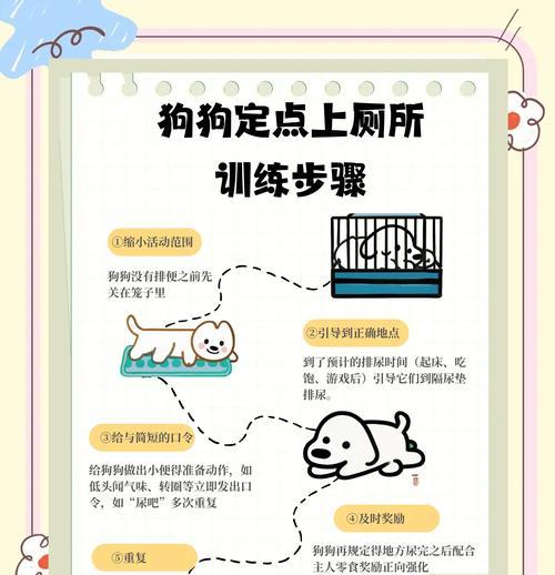 如何训练狗狗在指定地方上厕所？有哪些有效方法？