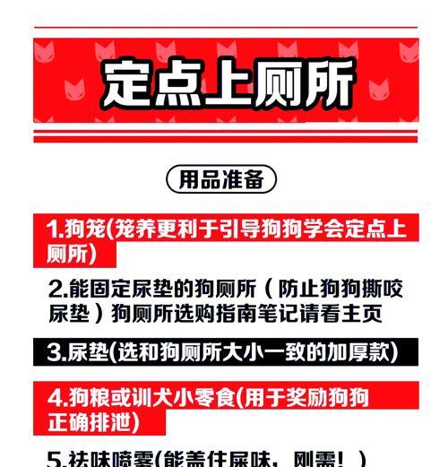 如何训练狗狗在指定地方上厕所？有哪些有效方法？