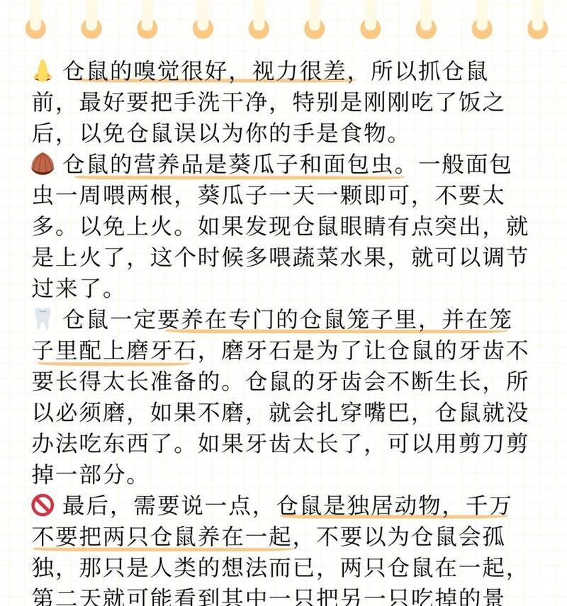 仓鼠饲养有哪些注意事项？如何正确喂养？