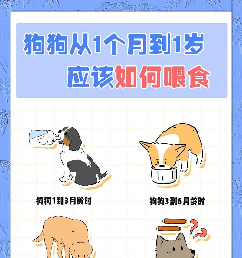 新生小狗没有母乳时应该喂什么？如何人工喂养？