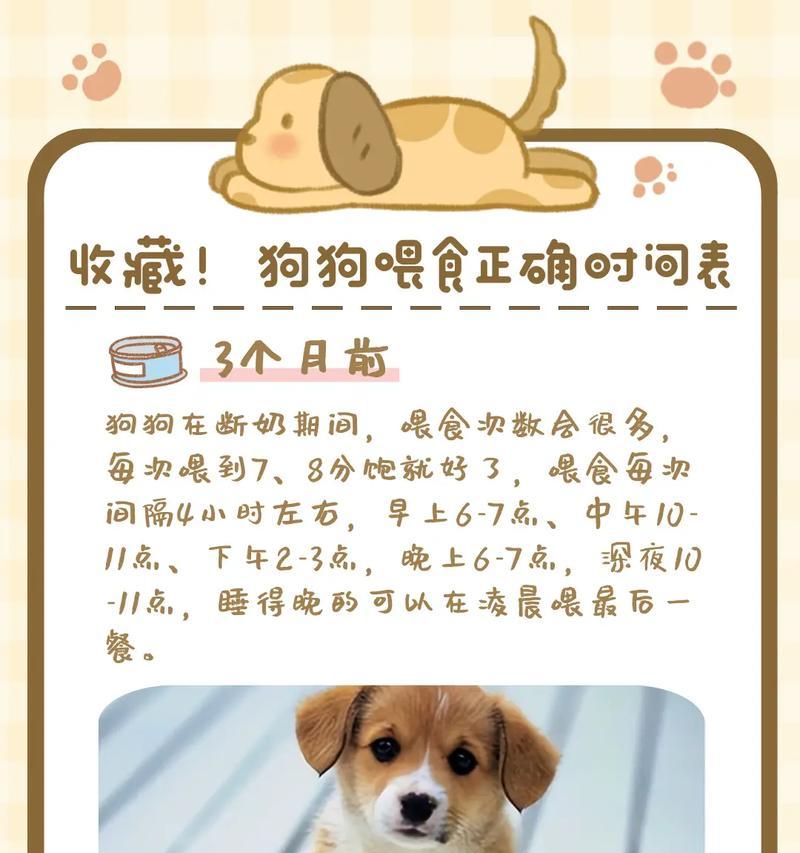 新生小狗没有母乳时应该喂什么？如何人工喂养？