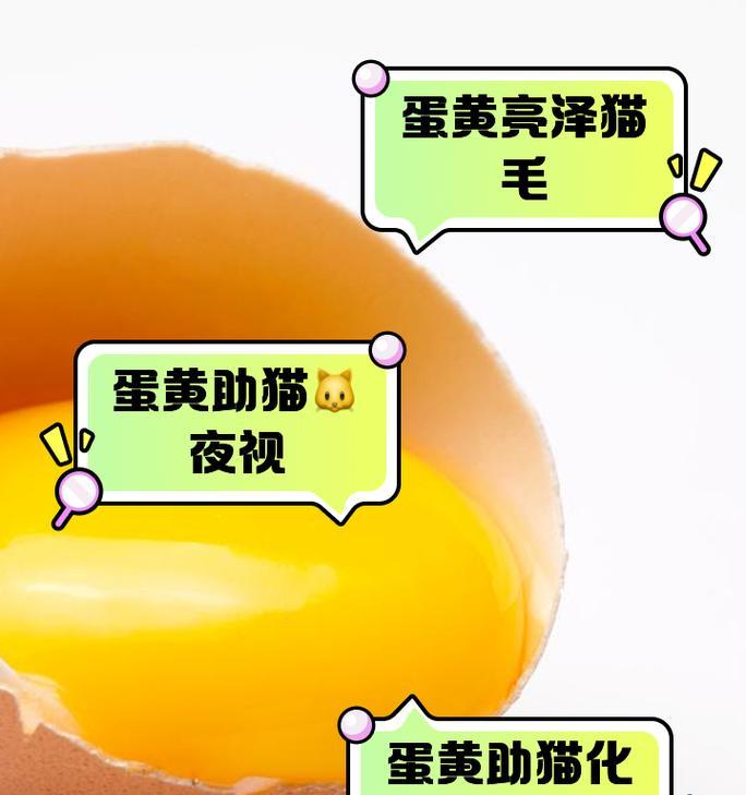 小猫可以吃蛋黄吗？蛋黄对小猫有哪些好处？