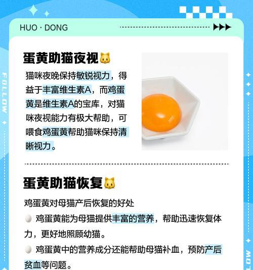 小猫可以吃蛋黄吗？蛋黄对小猫有哪些好处？