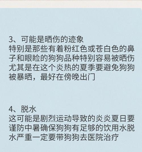 狗狗鼻头干燥是什么原因？如何保持湿润？
