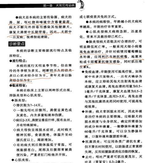 狗狗细小病毒感染如何治疗？有哪些有效方法？