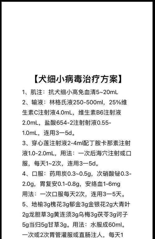 狗狗细小病毒感染如何治疗？有哪些有效方法？