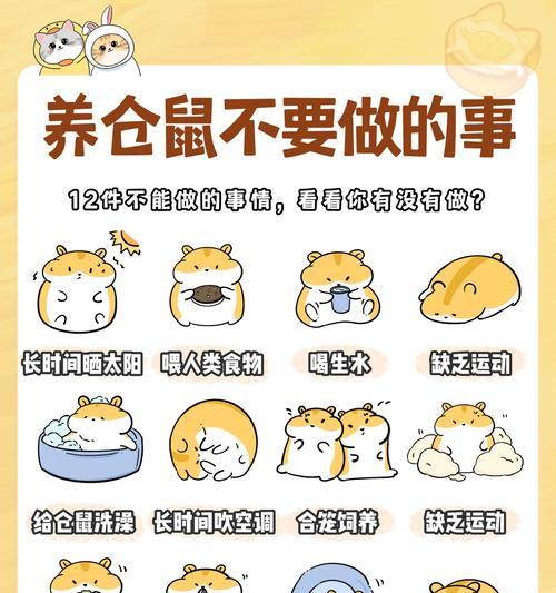 仓鼠宝宝多久会睁开眼睛？期间需要注意什么？