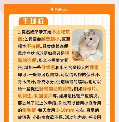 仓鼠会传染病毒给其他动物吗？如何预防？
