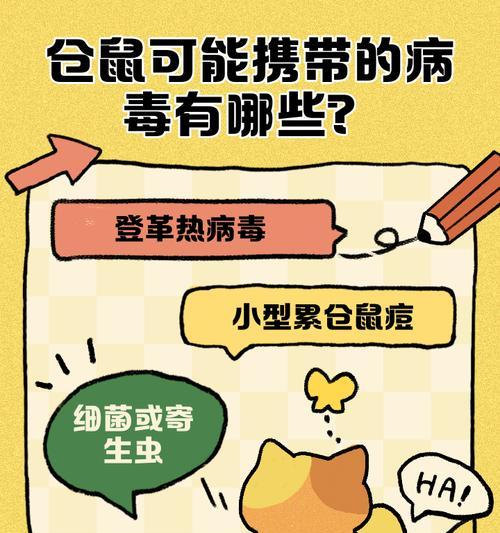 仓鼠会传染病毒给其他动物吗？如何预防？