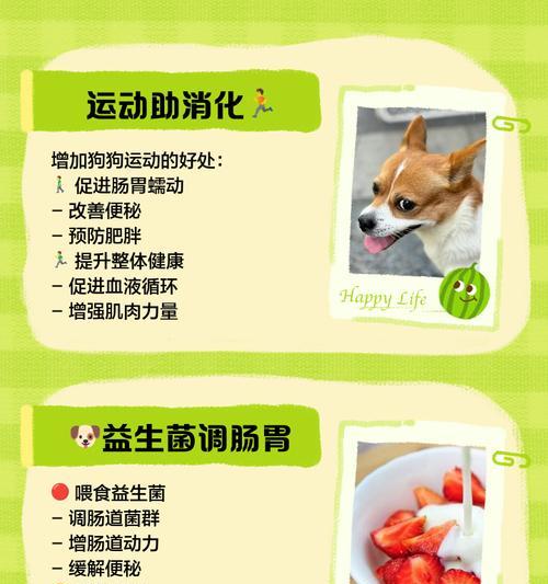 狗便秘吃生鸡蛋有效吗？如何正确使用生鸡蛋缓解？