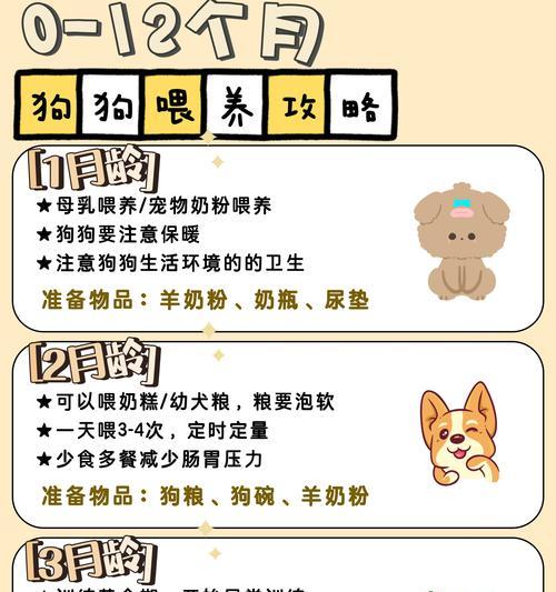 狗便秘吃生鸡蛋有效吗？如何正确使用生鸡蛋缓解？