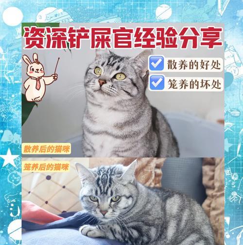 两个月的小猫需要笼养吗？对成长有何影响？