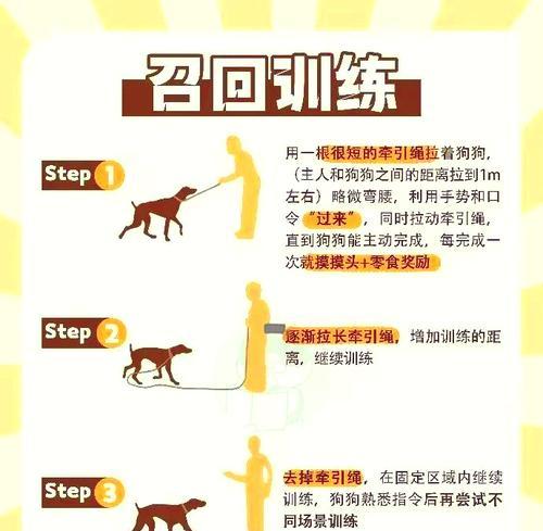 猎犬训练的基本原则是什么？如何制定训练计划？