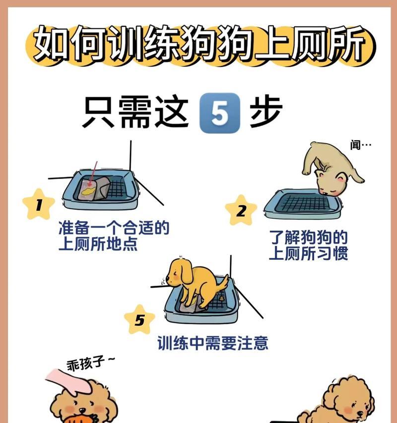教狗狗上厕所的方法有哪些？需要多长时间学会？