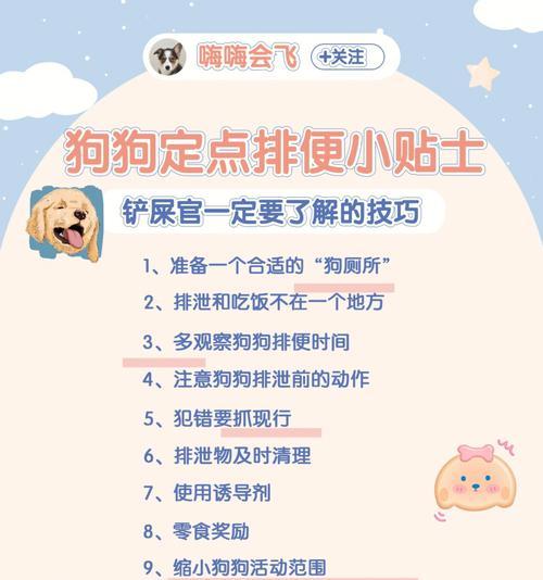 教狗狗上厕所的方法有哪些？需要多长时间学会？