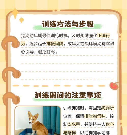 教狗狗上厕所的方法有哪些？需要多长时间学会？