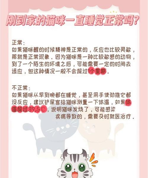 猫咪嗜睡但食欲正常是怎么回事？需要担心吗？