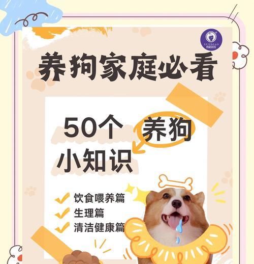 饲养小狗有哪些注意事项？如何确保健康成长？