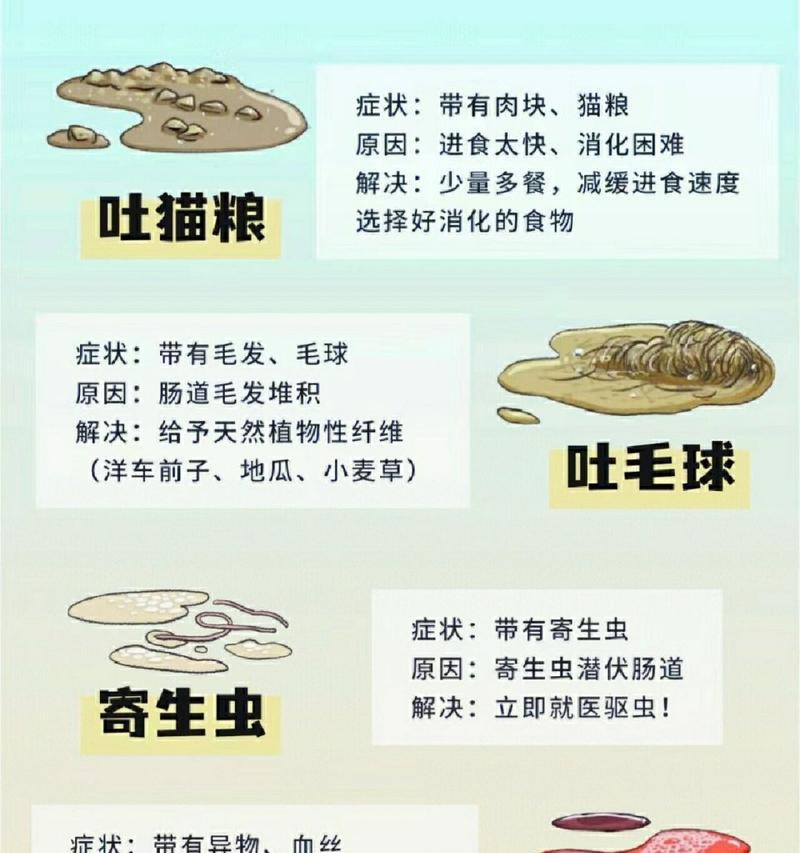猫咪呕吐的原因有哪些？