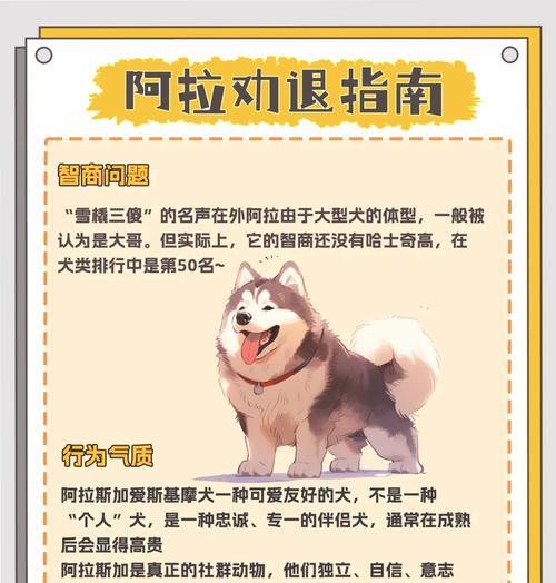 养阿拉斯加犬有哪些利弊？如何应对潜在的挑战？