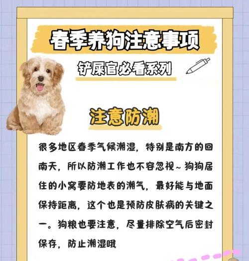 如何正确消毒养狗的屋子？养狗环境消毒的注意事项是什么？