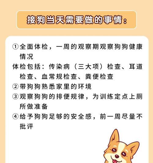 如何正确消毒养狗的屋子？养狗环境消毒的注意事项是什么？
