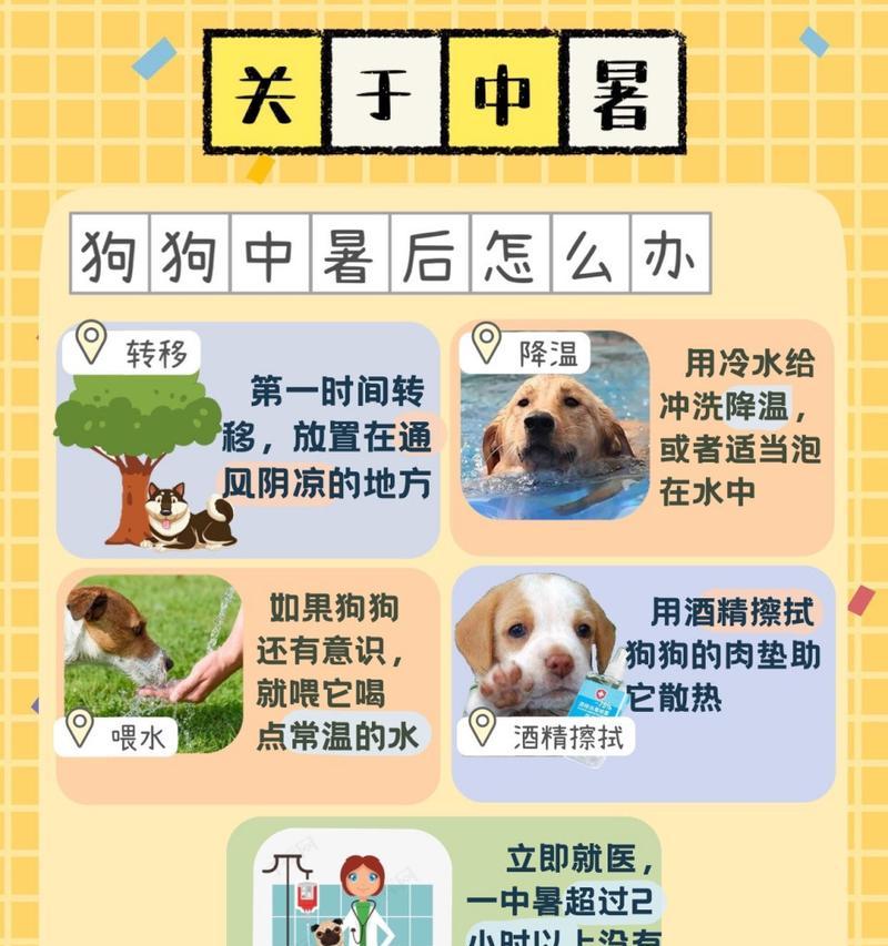如何正确消毒养狗的屋子？养狗环境消毒的注意事项是什么？