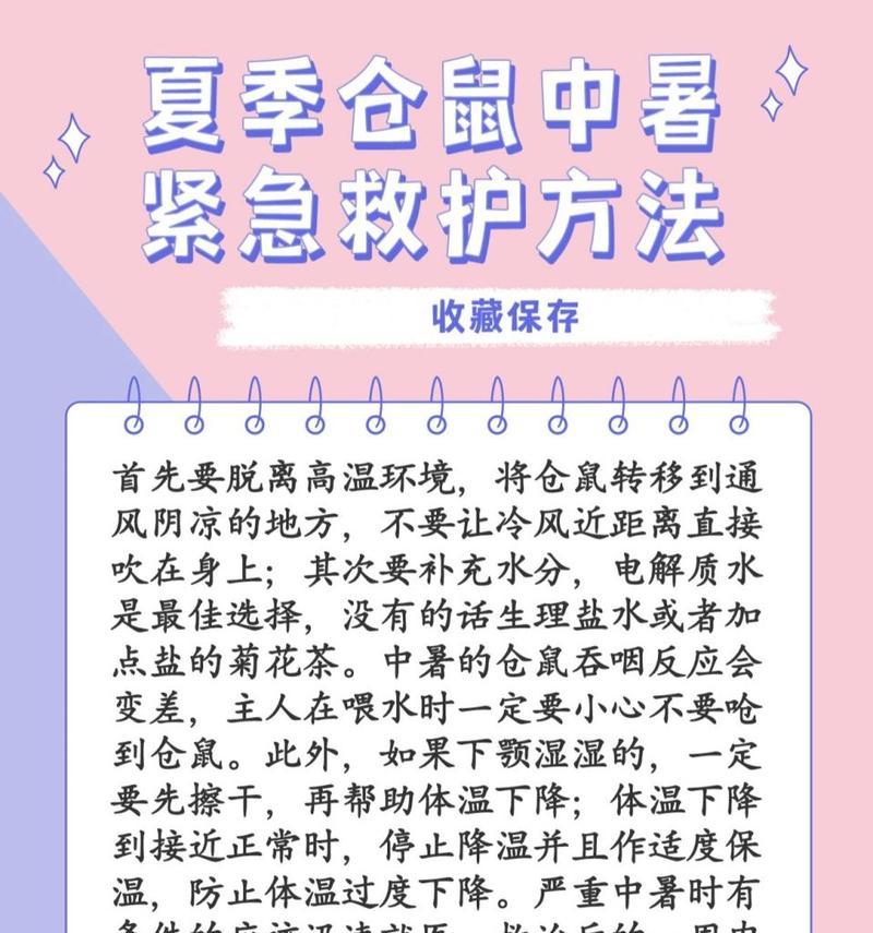 仓鼠中暑有哪些症状？如何进行有效的急救措施？