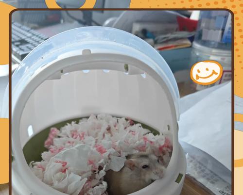 仓鼠中暑有哪些症状？如何进行有效的急救措施？