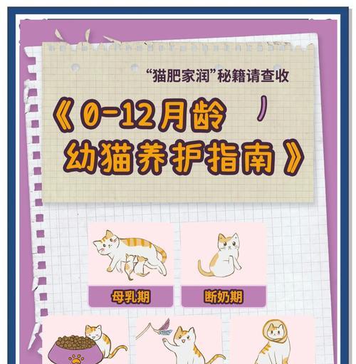 小奶猫生长缓慢怎么办？如何促进其健康成长？
