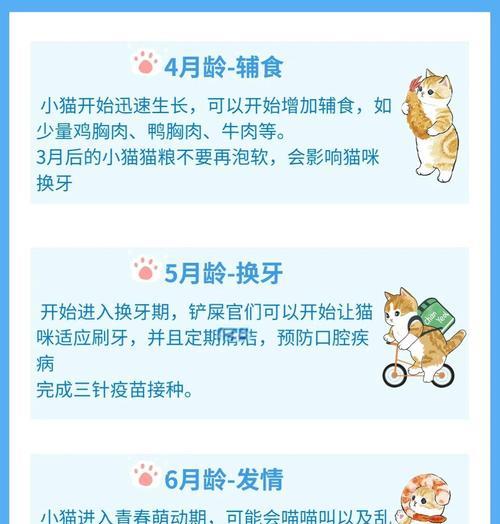 小奶猫生长缓慢怎么办？如何促进其健康成长？