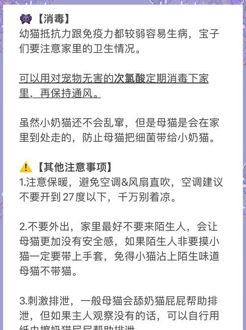 小奶猫生长缓慢怎么办？如何促进其健康成长？