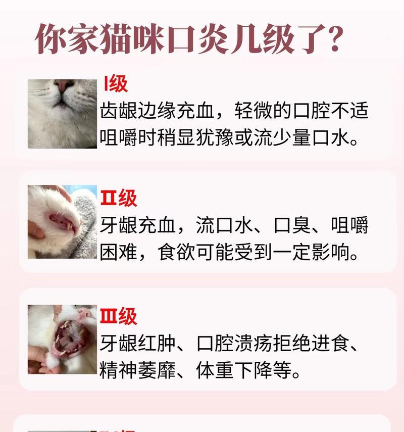 猫嘴角红肿增厚炎症是由什么原因引起的？