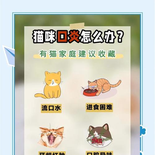 猫嘴角红肿增厚炎症是由什么原因引起的？