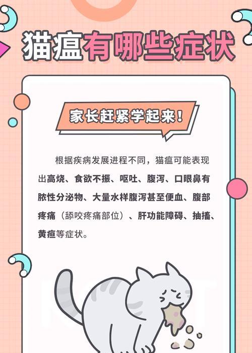 猫瘟隔离后多久可以再次养猫？需要注意什么？