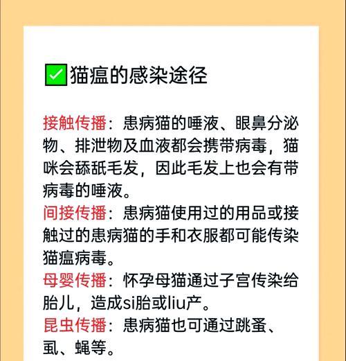 猫瘟隔离后多久可以再次养猫？需要注意什么？