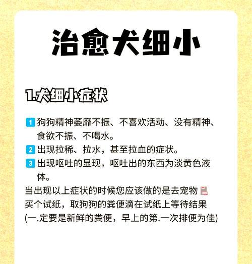 狗狗得细小病毒症状有哪些？如何及时发现并处理？