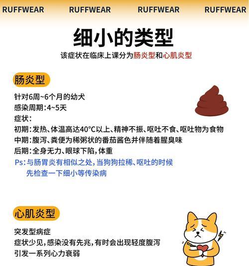 狗狗得细小病毒症状有哪些？如何及时发现并处理？