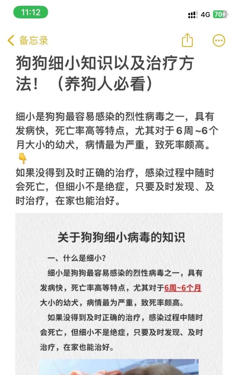 狗狗得细小病毒症状有哪些？如何及时发现并处理？