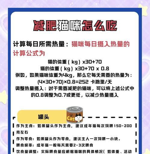 猫咪每日猫粮摄入量标准是多少？