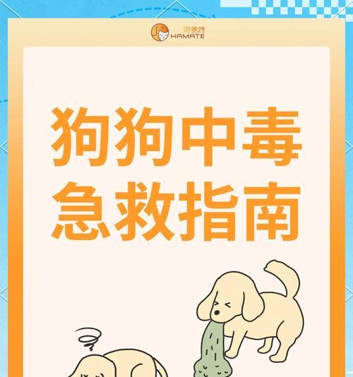 小狗中毒口吐白沫怎么办？急救措施有哪些？