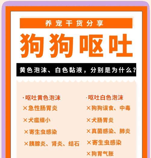 小狗中毒口吐白沫怎么办？急救措施有哪些？