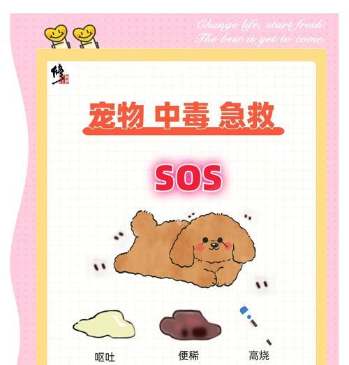小狗中毒口吐白沫怎么办？急救措施有哪些？